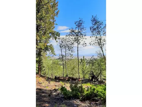 1269 Blacksmith Rd, Hartsel, CO 80449