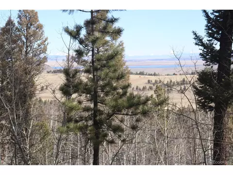 1269 Blacksmith Rd, Hartsel, CO 80449 photo 11