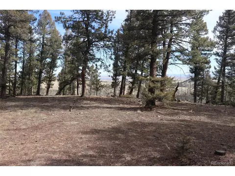 1269 Blacksmith Rd, Hartsel, CO 80449 photo 12