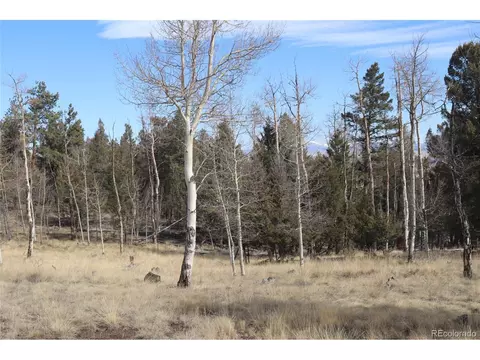 1269 Blacksmith Rd, Hartsel, CO 80449 photo 13