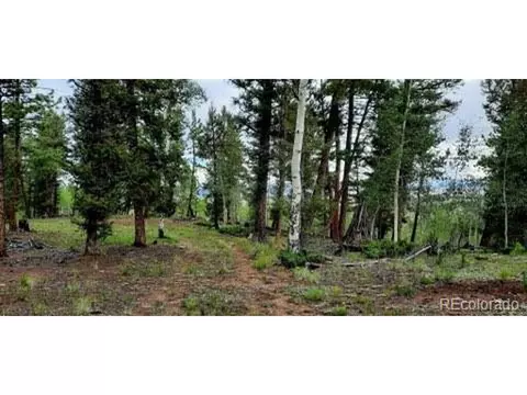 1269 Blacksmith Rd, Hartsel, CO 80449 photo 10