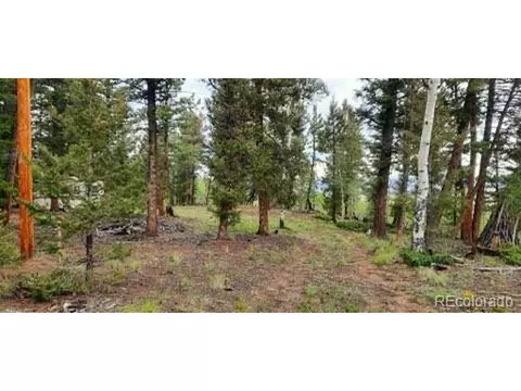 1269 Blacksmith Rd, Hartsel, CO 80449 photo 4