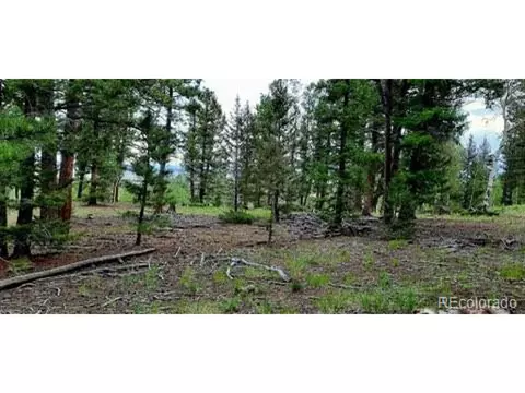1269 Blacksmith Rd, Hartsel, CO 80449 photo 3