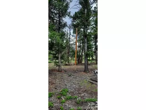 1269 Blacksmith Rd, Hartsel, CO 80449 photo 8