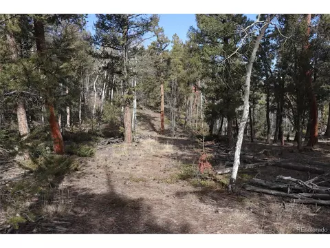 1269 Blacksmith Rd, Hartsel, CO 80449 photo 9