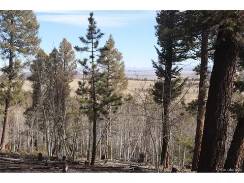 1269 Blacksmith Rd, Hartsel, CO 80449 photo 7
