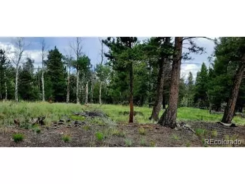1269 Blacksmith Rd, Hartsel, CO 80449 photo 2