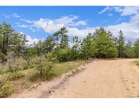 2050 Spring Beauty Ln, Larkspur, CO 80118