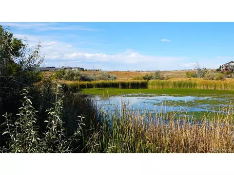 13124 Uinta St, Thornton, CO 80602 photo 27