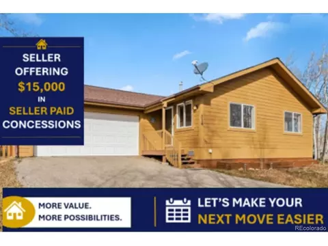 316 3rd St, Fairplay, CO 80440