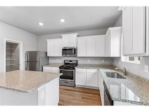 1050 Long Meadows St, Severance, CO 80550 photo 3