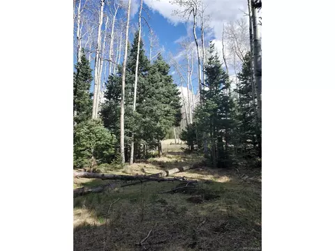 3112 Alvarado Pl, Fort Garland, CO 81133