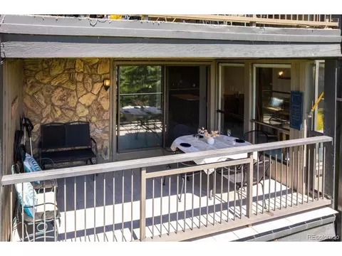160 Labonte, Dillon, CO 80435 photo 19