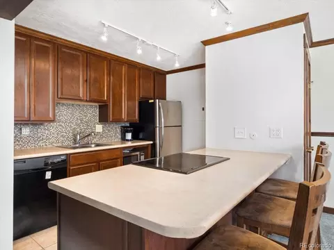 160 Labonte, Dillon, CO 80435 photo 9