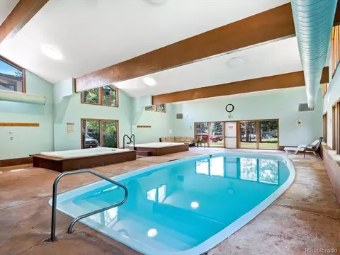 160 Labonte, Dillon, CO 80435 photo 24