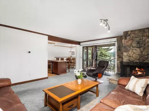 160 Labonte, Dillon, CO 80435 photo 7