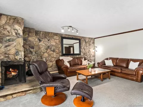 160 Labonte, Dillon, CO 80435 photo 6