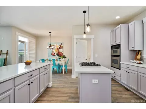 9886 E 27th Dr, Denver, CO 80238 photo 17
