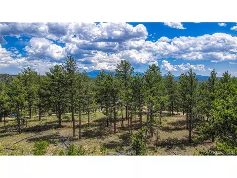 2075 Pikes Peak Dr, Florissant, CO 80816