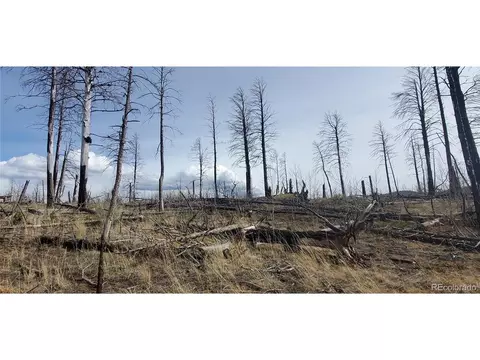 1223 Emery Loop, Fort Garland, CO 81133