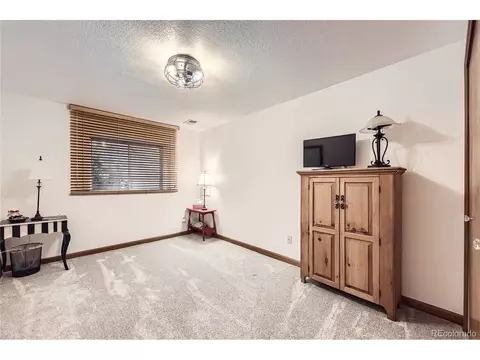 1013 E 130th Dr, Thornton, CO 80241 photo 22