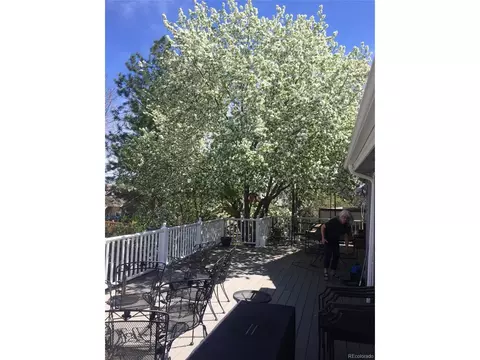 1013 E 130th Dr, Thornton, CO 80241 photo 37