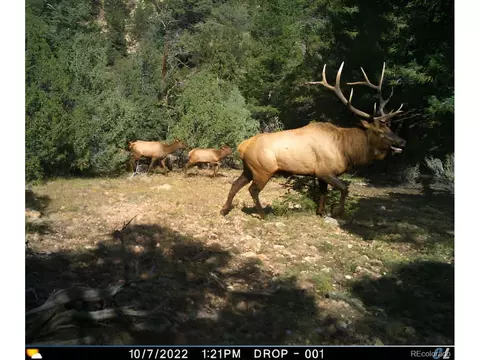 Undisclosed, San Luis, CO 81152