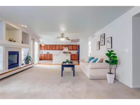 4140 Argonne St, Denver, CO 80249 photo 21