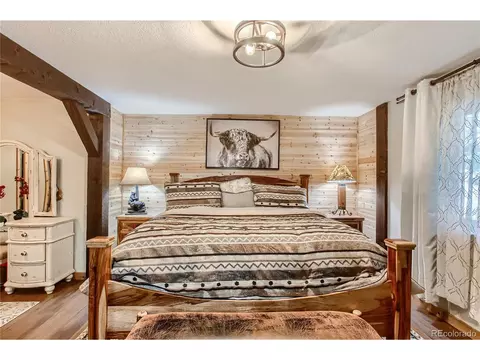 124 Blueberry Trl, Bailey, CO 80421 photo 17