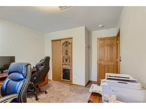 124 Blueberry Trl, Bailey, CO 80421 photo 26