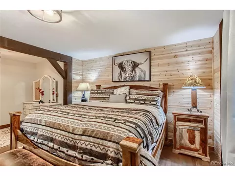 124 Blueberry Trl, Bailey, CO 80421 photo 15