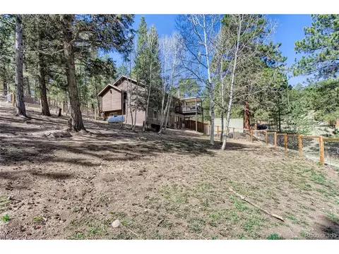 124 Blueberry Trl, Bailey, CO 80421 photo 5