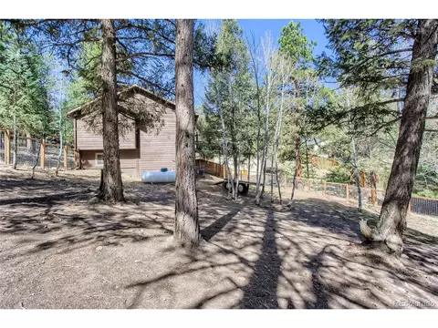 124 Blueberry Trl, Bailey, CO 80421 photo 6