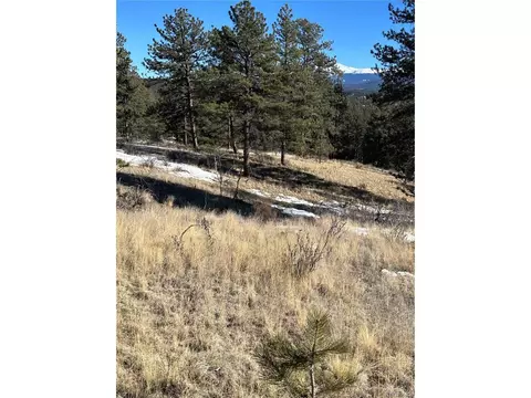 48 Shavano Trl, Florissant, CO 80816