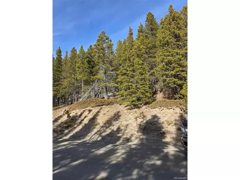 680 Alice Rd, Idaho Springs, CO 80453