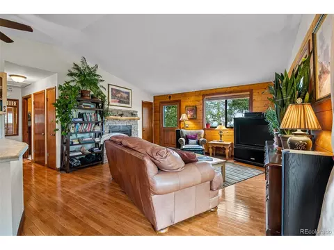 389 S Pine Dr, Bailey, CO 80421 photo 17