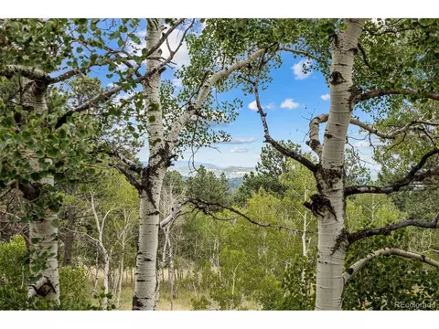 389 S Pine Dr, Bailey, CO 80421 photo 31