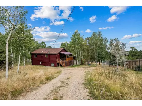 389 S Pine Dr, Bailey, CO 80421 photo 8