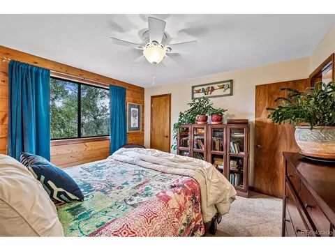 389 S Pine Dr, Bailey, CO 80421 photo 22