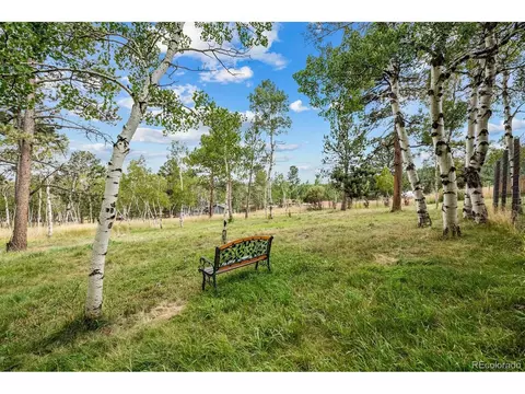 389 S Pine Dr, Bailey, CO 80421 photo 35