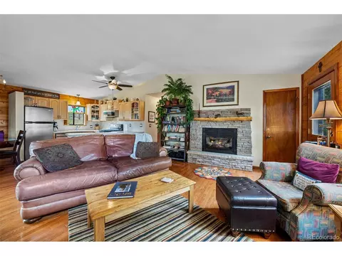 389 S Pine Dr, Bailey, CO 80421 photo 18