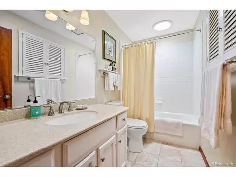 389 S Pine Dr, Bailey, CO 80421 photo 23