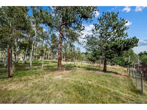 389 S Pine Dr, Bailey, CO 80421 photo 34