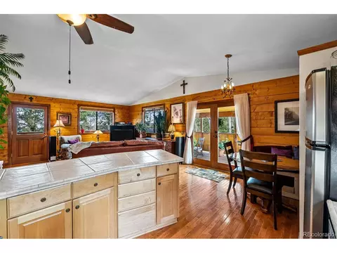 389 S Pine Dr, Bailey, CO 80421 photo 15