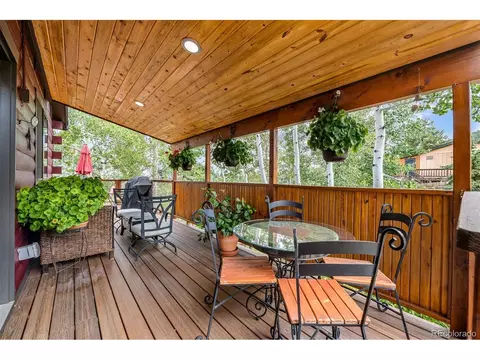 389 S Pine Dr, Bailey, CO 80421 photo 6