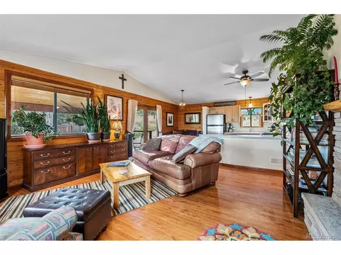 389 S Pine Dr, Bailey, CO 80421 photo 20