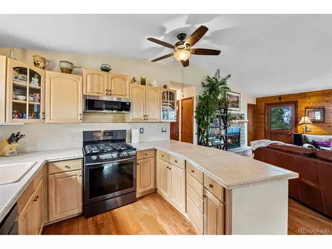 389 S Pine Dr, Bailey, CO 80421 photo 14