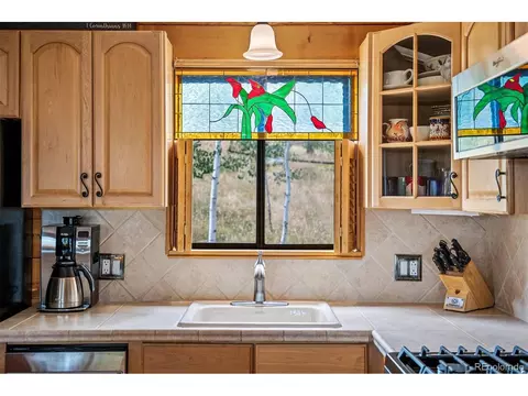 389 S Pine Dr, Bailey, CO 80421 photo 16