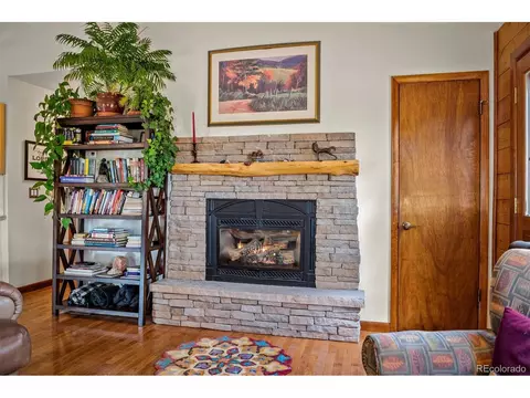 389 S Pine Dr, Bailey, CO 80421 photo 19