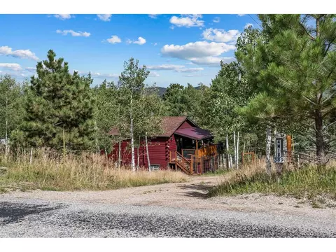 389 S Pine Dr, Bailey, CO 80421 photo 7
